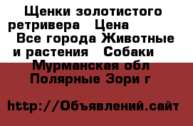 Щенки золотистого ретривера › Цена ­ 15 000 - Все города Животные и растения » Собаки   . Мурманская обл.,Полярные Зори г.